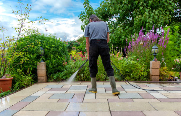 Animal Enclosure Cleaning in Marlton, NJ